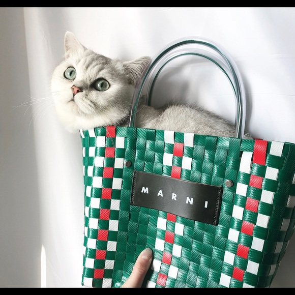 Meet your Posher, Aili - Picture 1 of 1